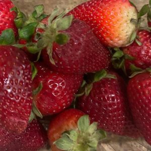 Strawberries, Fresh