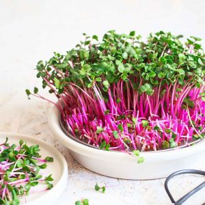 Radishes