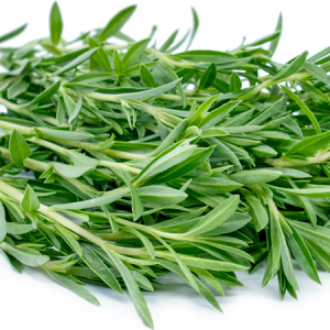 Savory Leaves