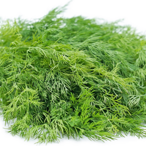 Fresh Baby Dill