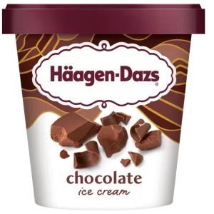 Höagen Ice cream with Chocolate
