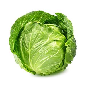 Green cabbage fresh