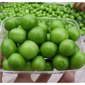 SOUR PLUM yeşil erik