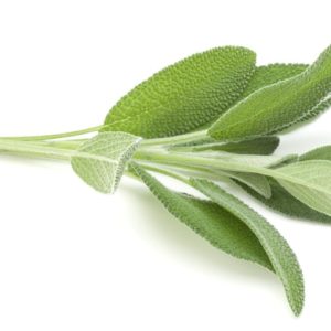 ROMONA BEANS AYŞE KADIN