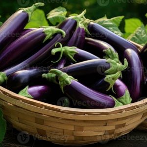 FRESH EGGPLANT