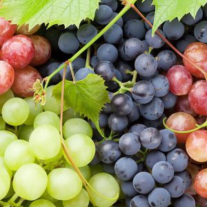 FRESH GRAPE