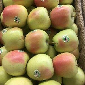 VILLAGES APPLE