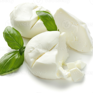 Soft White Cheese