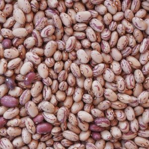 Barbunya (cranberry beans)