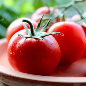 Fresh Tomatoes
