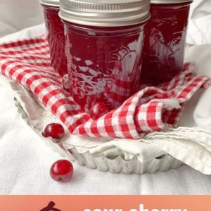 Sour cherry jelatin