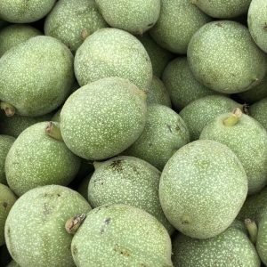Green walnut