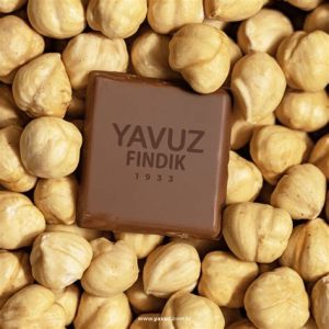 Fındık hazelnut by pound