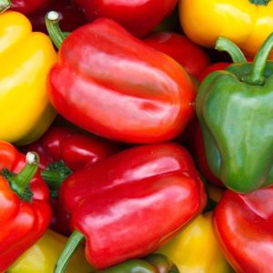 BELL PEPPER