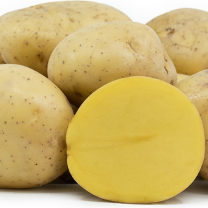 YUKON GOLD POTATOS