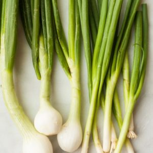 GREEN ONIONS