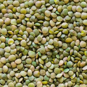 Green lentil