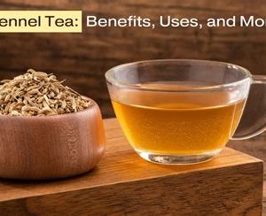 Fennel Herbal Tea | | 20  Tea Bags | 1.41 Oz | Galil