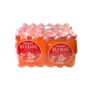 Uludag Orange Gazoz 24
