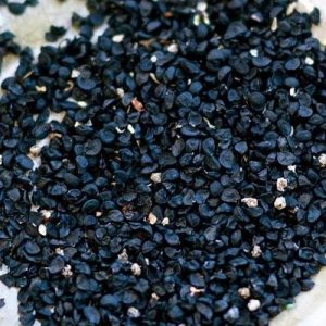 Black Onion Seed