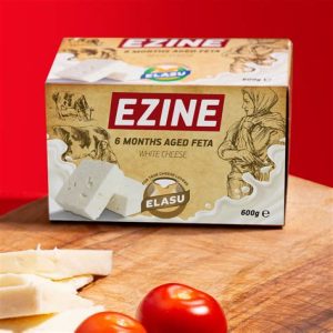 Ezine