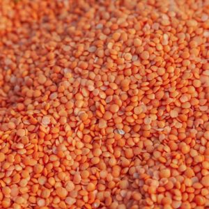 RED LENTIL