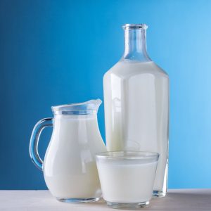 Whole Milk (1 gal)