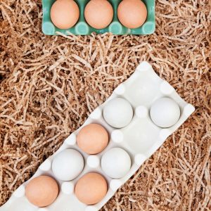 Dairy & Eggs