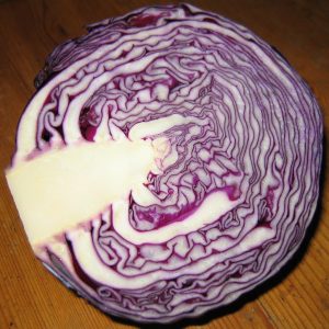 Red Cabbage