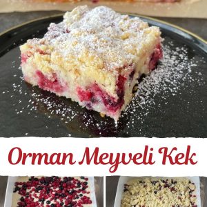 Pöti orman meyveli kek