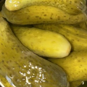 Pickled Cucumbers, in Brine