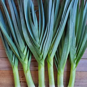 LEEK DRIED