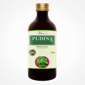 Pudina