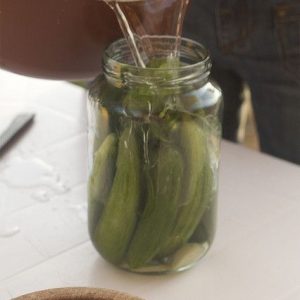 Pickled Wild Cucumbers