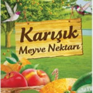 Karisik Meyve Nektari  6X
