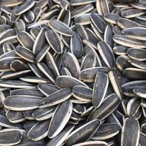 Sunflower Seeds