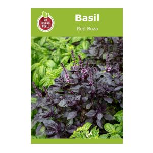 Basil