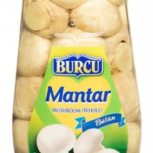 Mantar